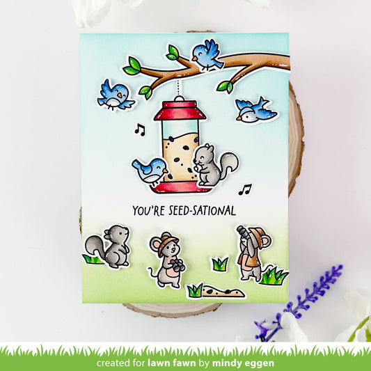 Lawn Fawn Backyard Bird Feeder Stempelset 4x6 mit Ast, Futterspender und Vögeln für fröhliche Bastelprojekte