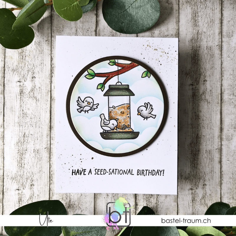 Handgemachte Geburtstagskarte mit runden Motiv: drei süsse Vögel um einen gefüllten Futterspender, gestaltet mit Produkten aus dem Lawn Fawn New Release 2025. Text: "Have a seed-sational birthday!" – Design von Ute für bastel-traum.ch auf Holzhintergrund fotografiert.