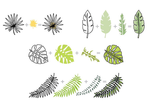 Altenew - Parrot Paradise - Clear Stamp 6x8