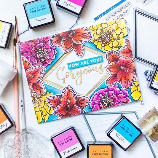 Altenew - Smiles and Hugs - Clear Stamp 4x6