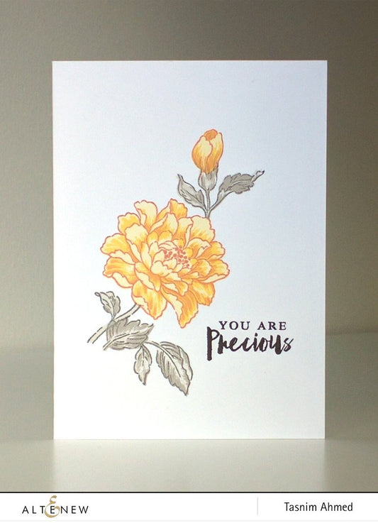 Altenew - Remember This - Clear Stamps 6x8