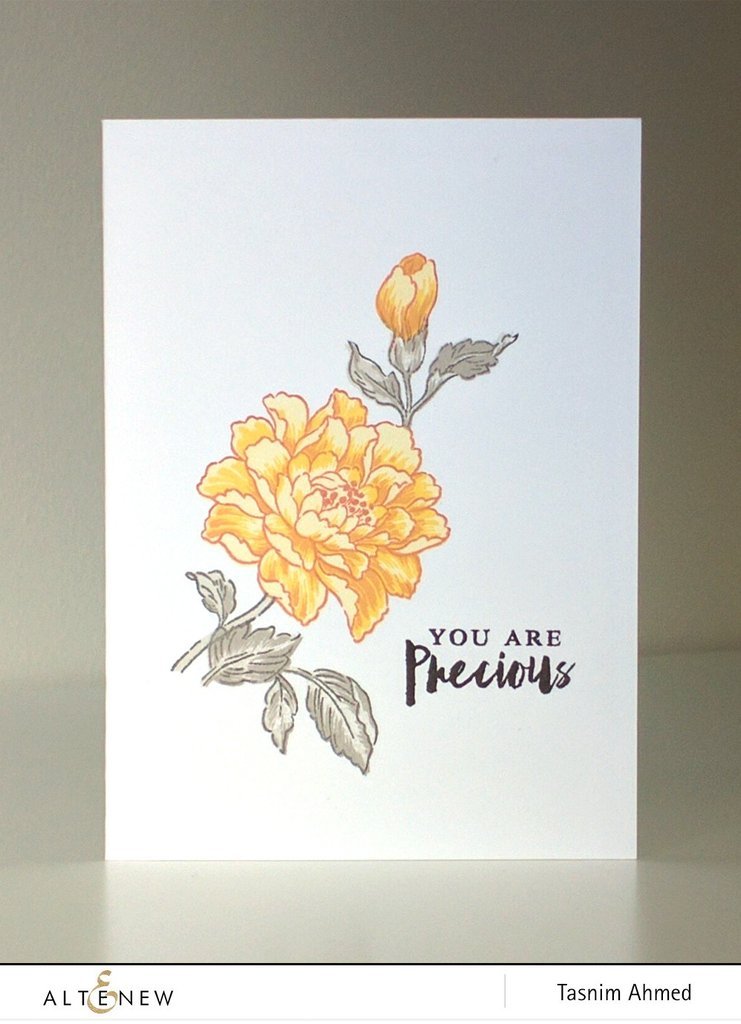 Altenew - Remember This - Clear Stamps 6x8