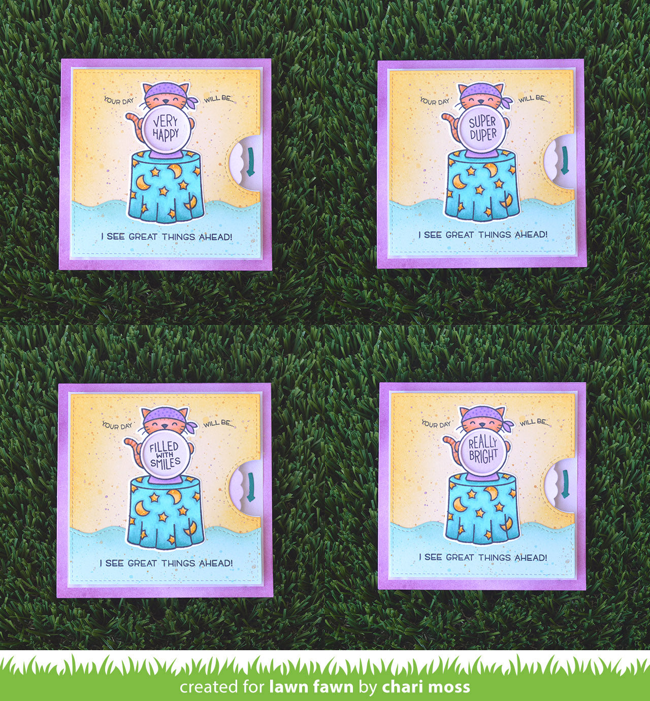 fortune teller tabby