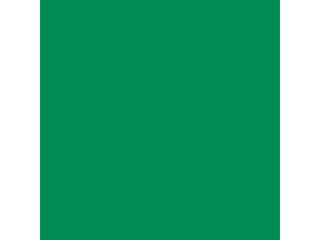Oracal 751 Farbfolie 31.5 cm x 100 cm - Verkehrsgrün Glanz