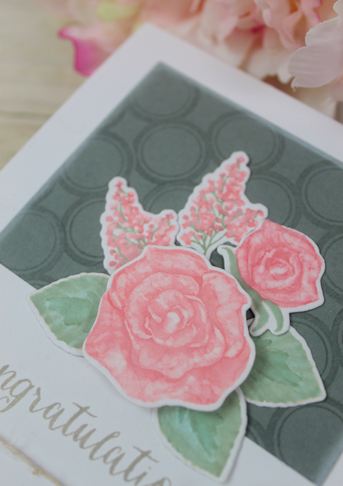 Wplus9 - Coming Up Roses Die