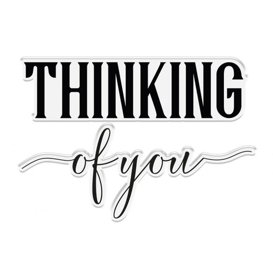 Crafter's Companion - Brush Thinking Of You - 4x6 Clear Stamps