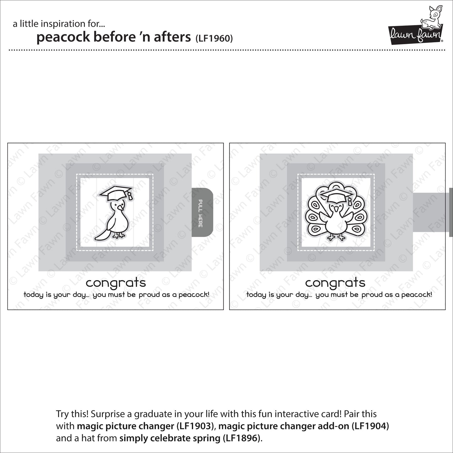 Lawn Fawn - Peacock Before 'n Afters - Clear Stamp 3x4