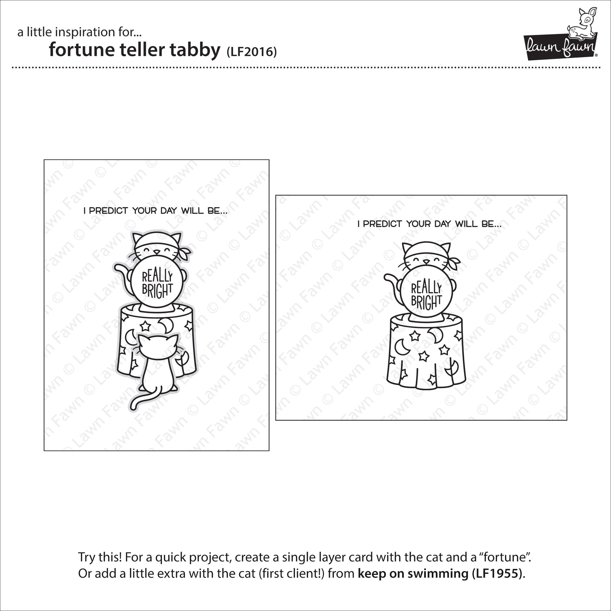 fortune teller tabby