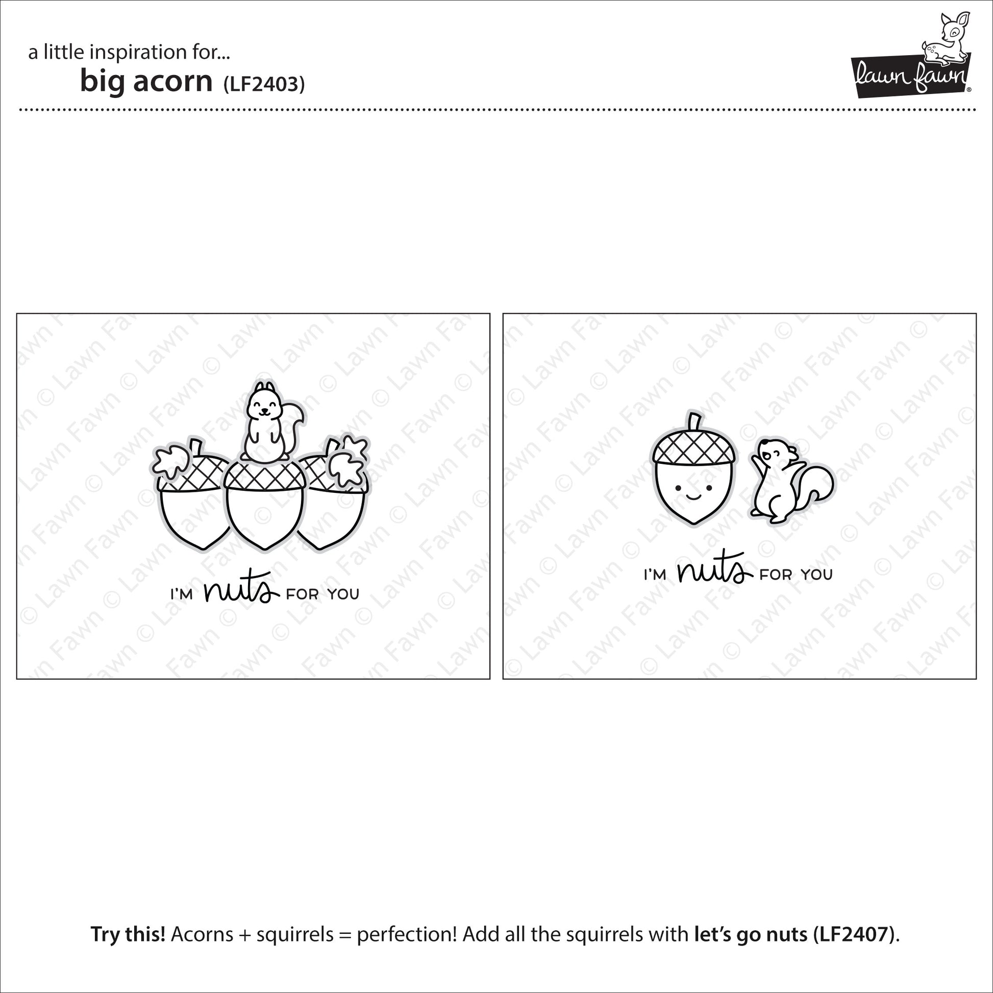 Lawn Fawn - big acorn - Clear Stamp 2x3