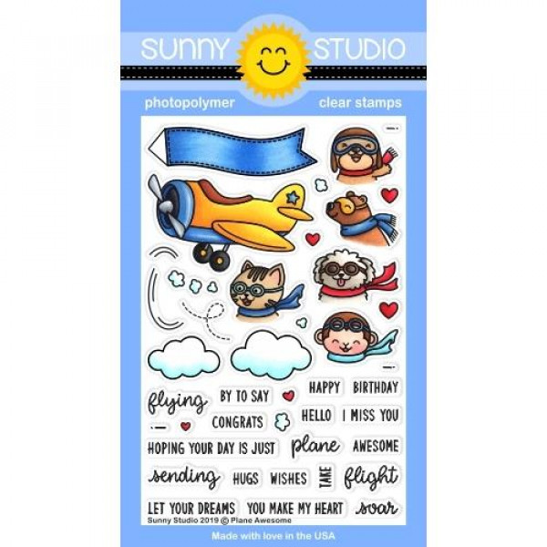 Sunny Studio - Plane Awesome - Clear Stamps 4x6