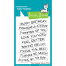 Lawn Fawn - Wavy Sayings - Clear Stamp 3x4
