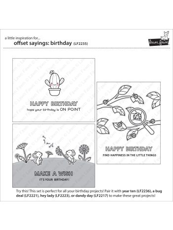 Lawn Fawn - offset sayings: birthday - Clear Stamp 4x6