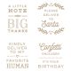All-Occasion Mailbox Greetings Glimmer Hot Foil Plate
