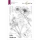 Altenew - Wild Flora - Clear Stamp 6x8