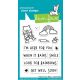 Lawn Fawn - Here for you Bear - Clear Stamp 3x4